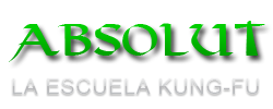LA ESCUELA KUNG-FU ABSOLUT